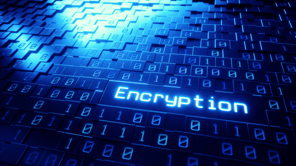 Whats up with WhatsApp and End-to-End Encryption