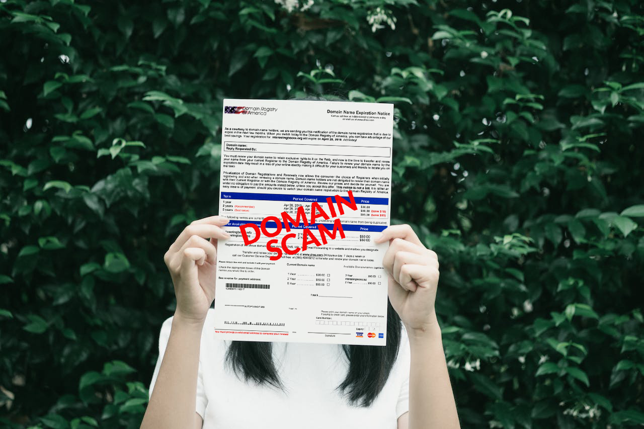 Recognizing Domain Renewal Scams